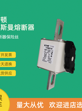 极速全新快速熔断器保险170M5750 1x70M5751 170M5758 170M5759