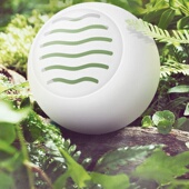 柜D去异味剂除味球持久香薰祛味 防臭吸臭神器鞋 极速鞋 子除臭球鞋