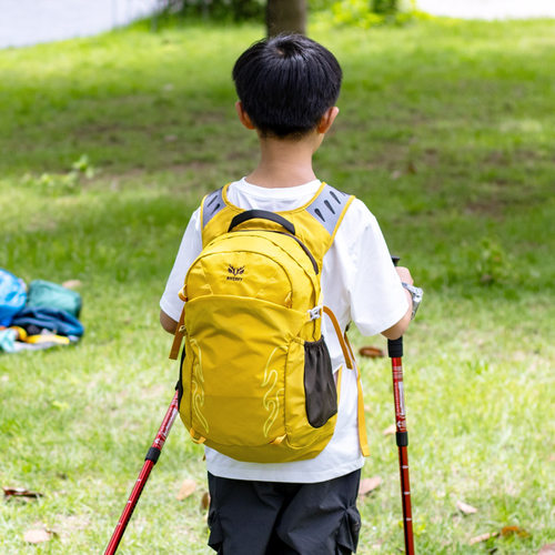 户外徒步登山双肩背包20升