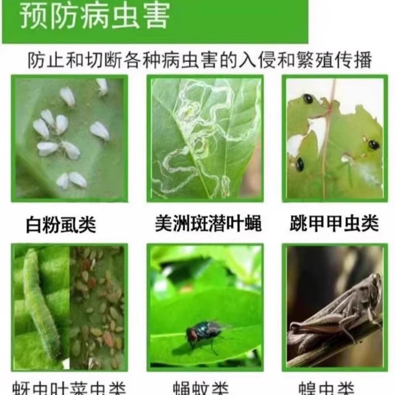 热销防虫网种菜g专用80目阳台大棚蔬菜用的种植网罩菜园农用加厚1