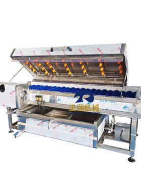 全自平行清毛刷清洗 食品厂毛辊喷DDH动淋苹果清洗机 机商用地蛋