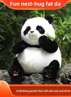 速发趣巢熊4娃娃模拟儿童生日礼物圣诞0玩具走红2孩2猫年小学生