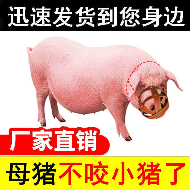 速发母猪防咬套猪老套牛羊笼头马嚼子嘴套嘴母猪神笼防咬小猪仔嘴