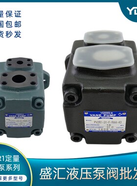 速发YU/Epv2r1叶片泵-6/8/10/12液-F-RAK压油泵注塑机配件