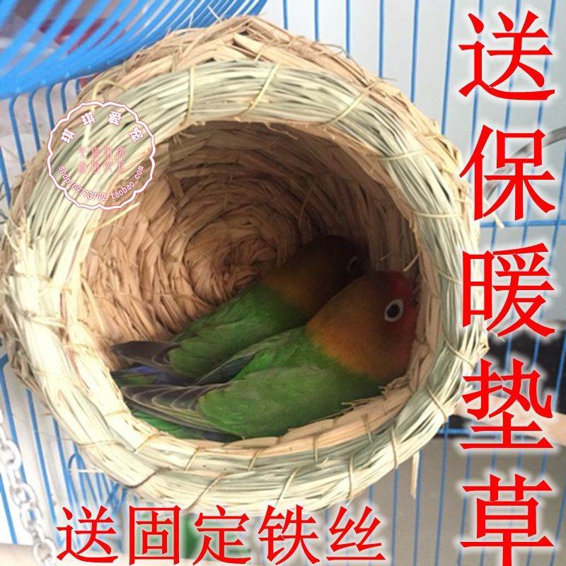 速发草殖鸟窝玄保牡丹虎皮鹦鹉文鸟珍珠草窝繁编箱凤暖挂窝用品小