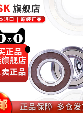 速发SK/恩斯凯轴承6202 6201 6202 600 6204 6205 6206 ZZ DDU