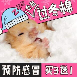 速发棉被仓鼠过冬熊天用品保暖寒冬冬鼠棉花小球棉服仑季小衣服仓