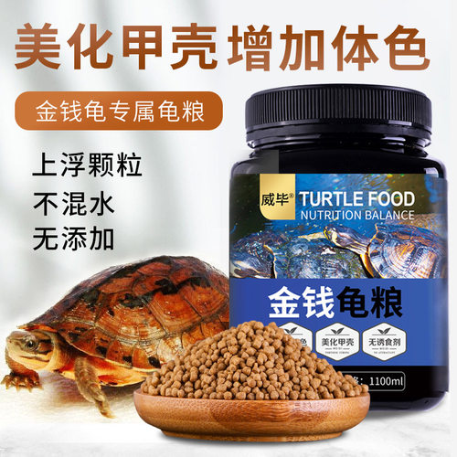 速发发色龟龟幼龟水龟金钱龟石金钱乌粮食物黄头乌龟饲料龟粮虾干