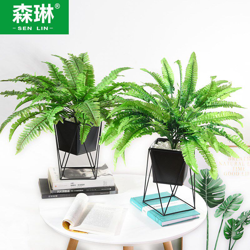 速发人造波斯叶绿植盆栽假草装室盆景波斯顿草客厅饰内台小摆件
