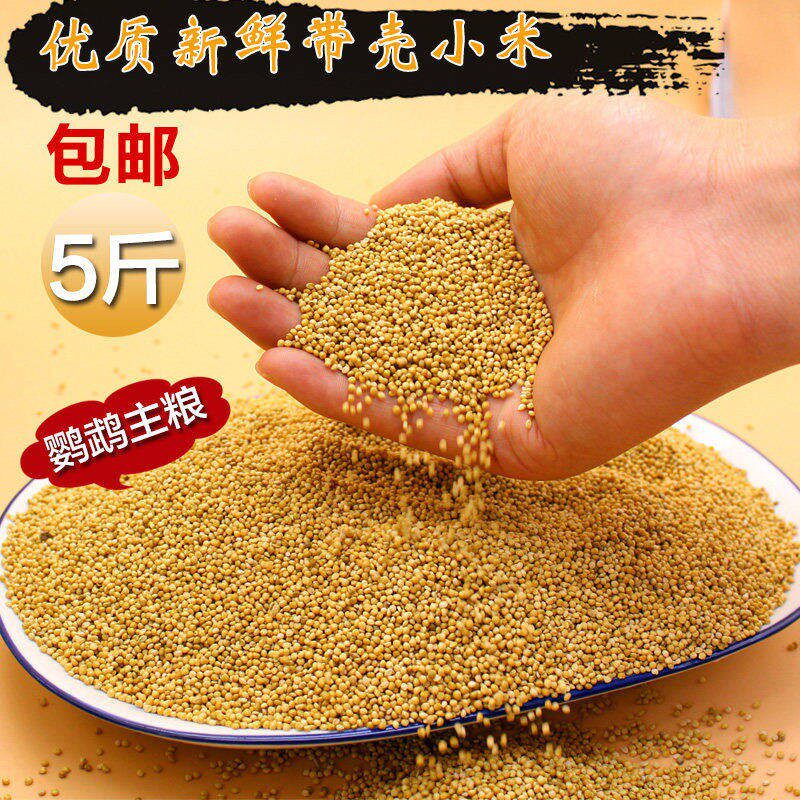 速发威带新黄谷子毕壳虎皮玄凤牡丹鹦鹉鸟饲食料鸟粮食物粮食5斤