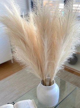 速发1 45cm t fi Ppas Gra Bquoueti Yr Hid W