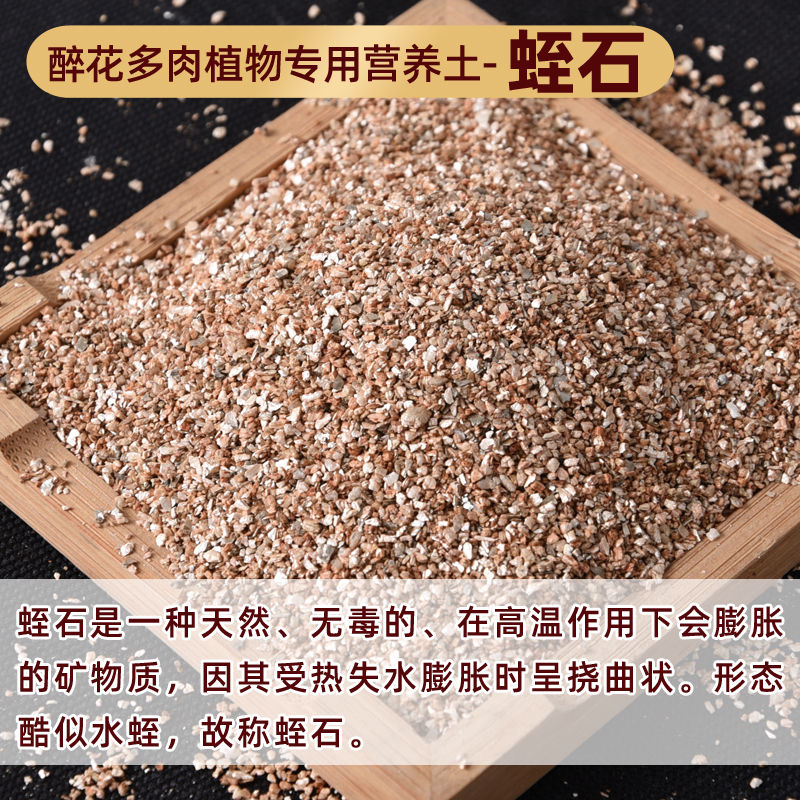 速发蛭石铺面扦珠颗粒专用土珍颗岩养花发根育苗用的大插粒多肉营