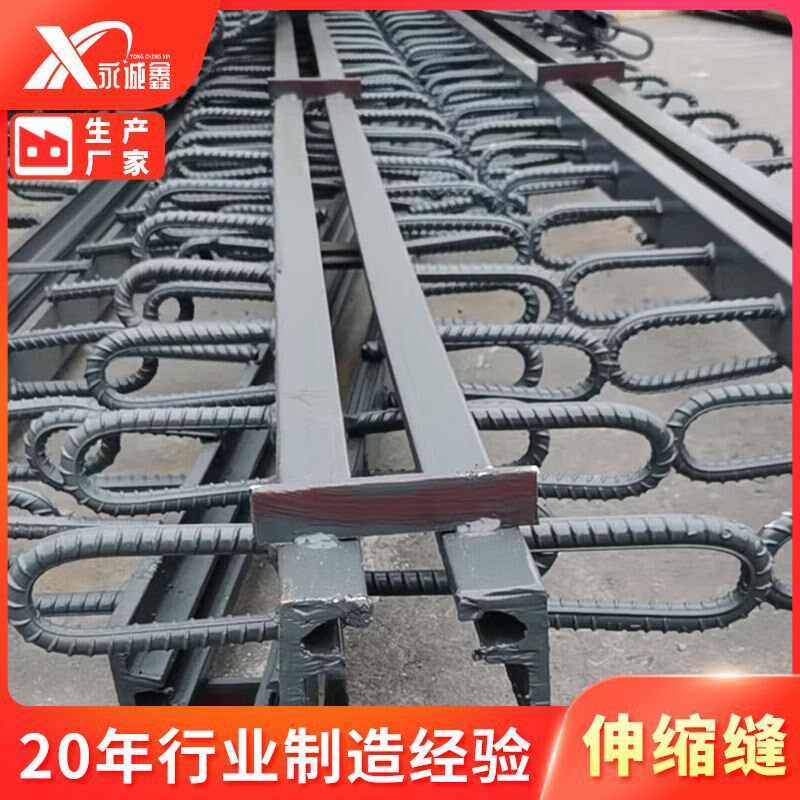 速发桥梁伸缩缝装置公路毛勒型C数式梳型型板式模齿F型RG型伸缩缝