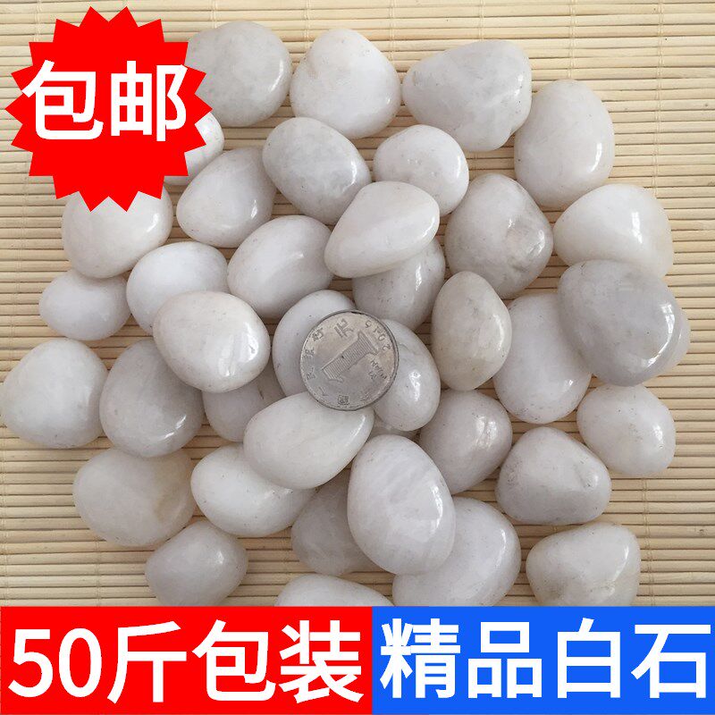 速发纯鹅卵石雨花石纯白色花饰栽石缸鱼子黑园艺铺地装盆园林石头