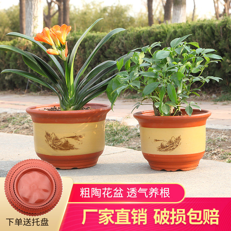 速发大盆特花号陶砂紫土陶瓷大号花盆客厅兰花盆落地粗砂大码盆景