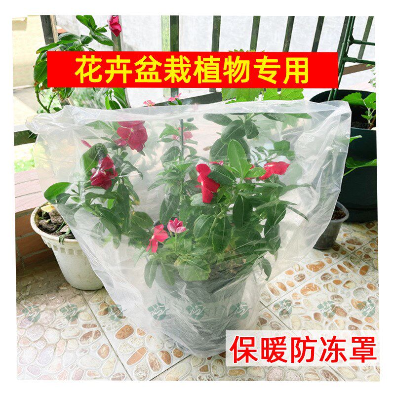 速发植物防冻保温罩保栽防寒布套花卉果树保苗过冬季盆温袋塑料木