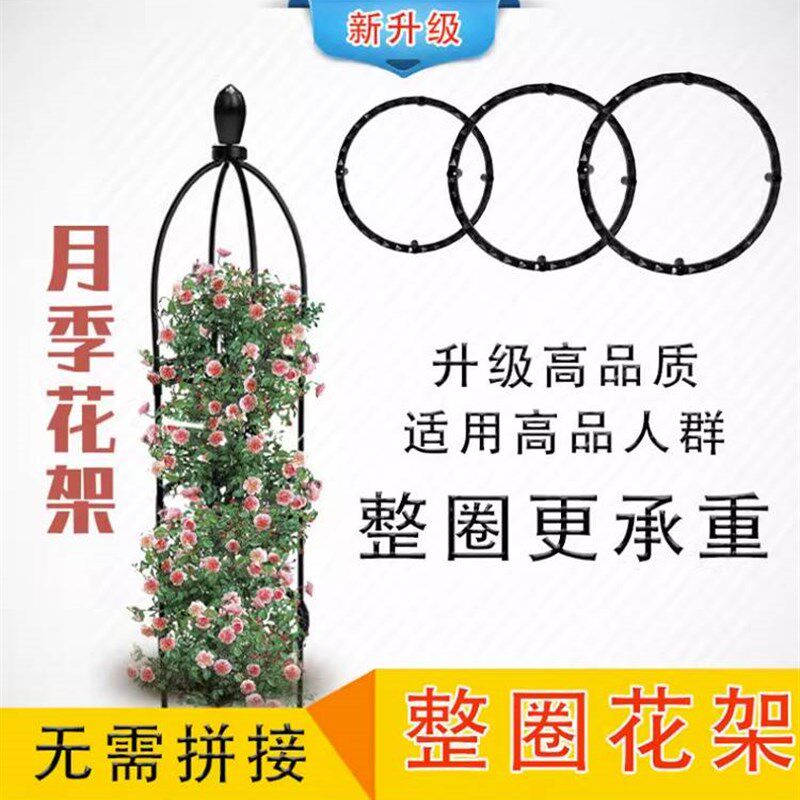 速发内架爬藤架子铁线莲缩季花支架花盆植物攀爬支架室花山乌龟支