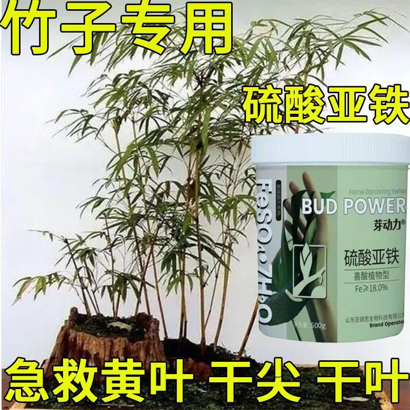 速发竹子肥红竹米料罗汉竹竹子肥土硫酸亚铁调节竹壤防黄叶通用型