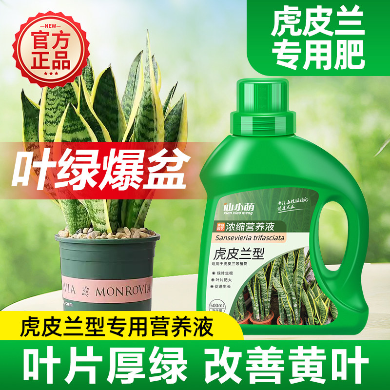 速发肥皮兰虎用肥营养液虎尾边家用盆栽植物通料土水培叶面肥