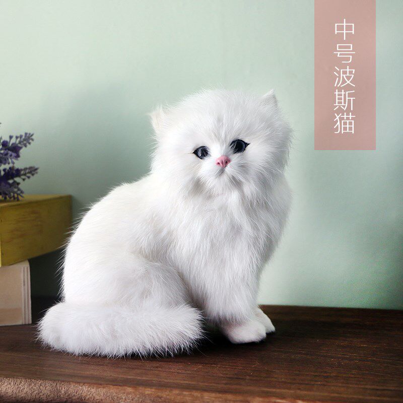 速发猫咪儿童毛绒玩具玩偶模礼摆物孩玩具猫型件