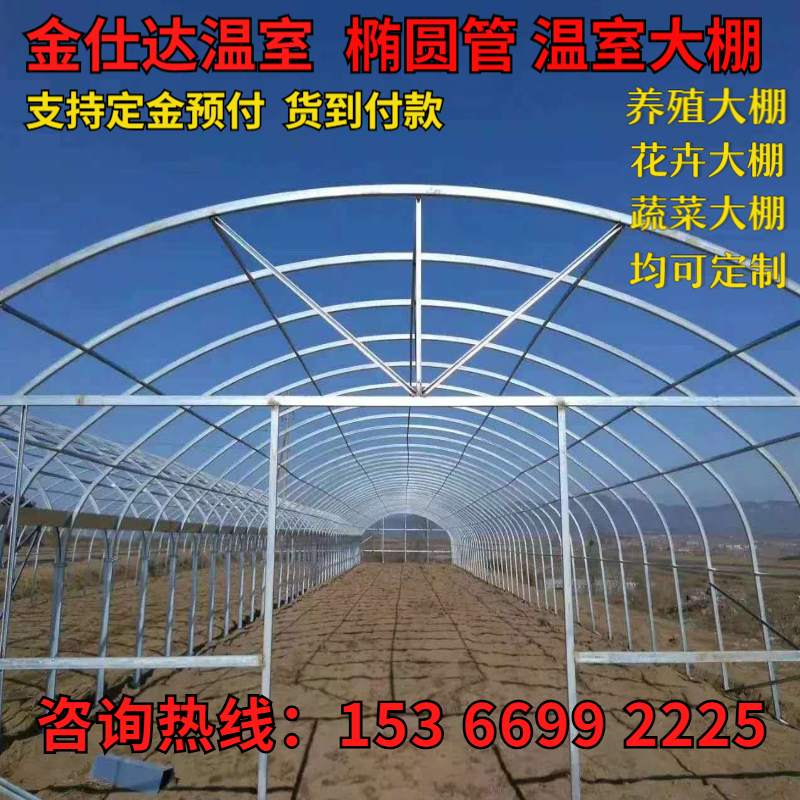 速发钢管骨架蔬菜养管养大养鸡椭圆殖配棚猪室连R体栋全套温件支