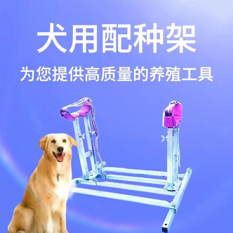 速发配种架大中小犬配种架配狗架通-120斤用5狗 法牛柯基柴犬配狗