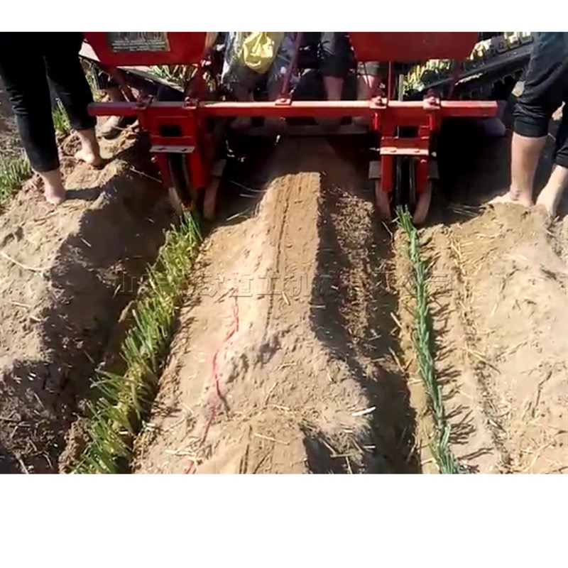 速发农用大葱甜厂机 拖拉机后置大葱栽苗机 移菜茄子苗栽种器 栽