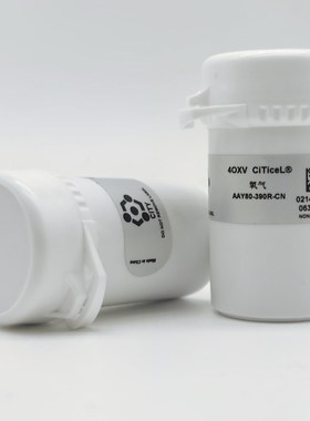 速发 氧4传感器 气OXV 4OX-V04OXV 40XV Y8 -0R-C氧探头