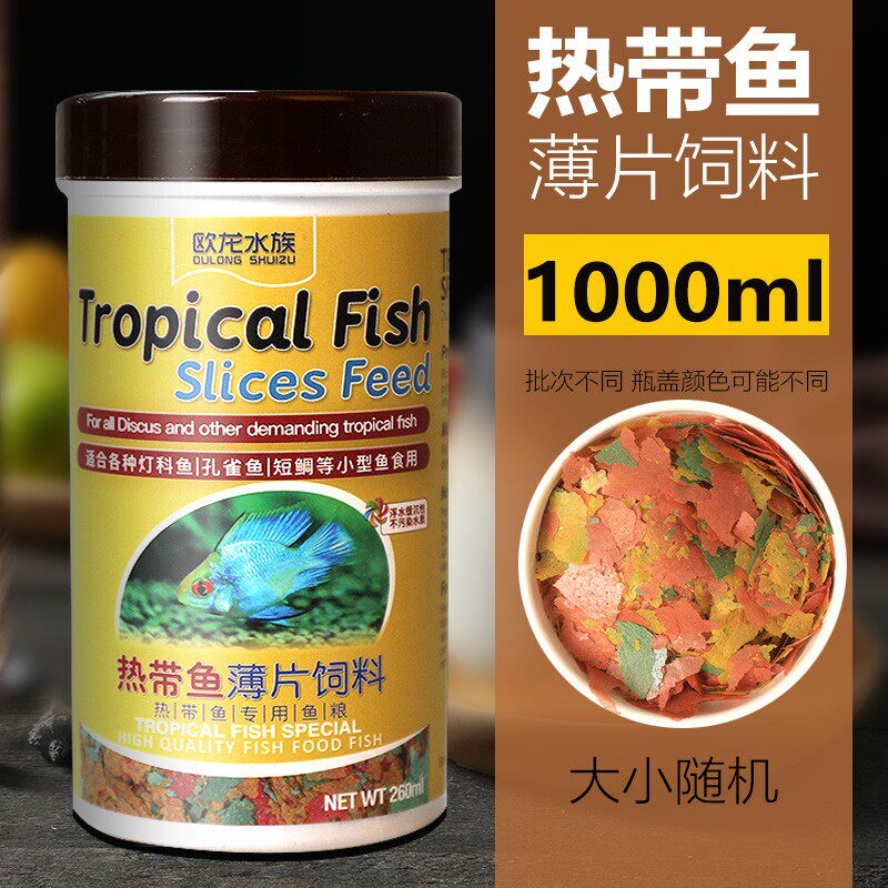 速发孔雀灯饲料鱼食小型鱼热带鱼鱼科片斗鱼凤尾鱼饲料小颗粒薄鱼