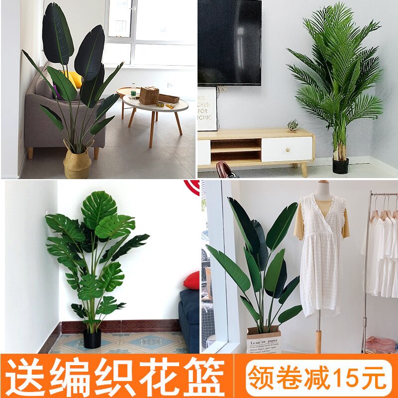 速发大型植物假鸟饰花旅人蕉绿植摆件室内客厅栽装盆龟背