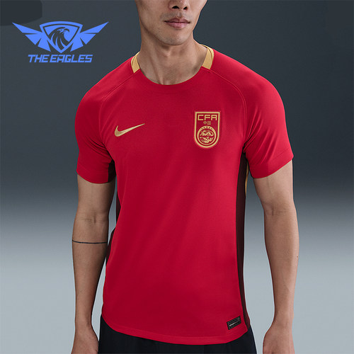 Nike/耐克正品Dri-FIT男士运动足球训练透气经典球衣FZ9018-687