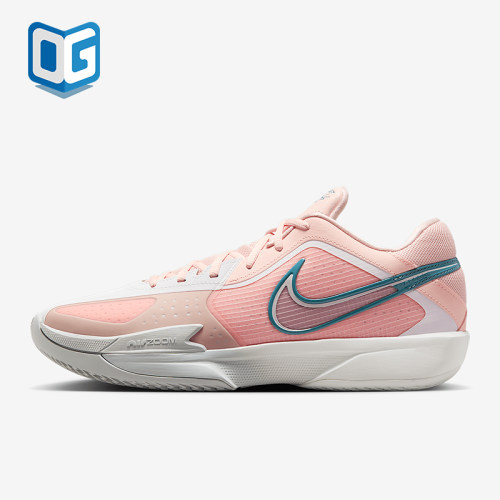 Nike/耐克正品秋冬新款男士缓震耐磨低帮篮球鞋HF0231-602