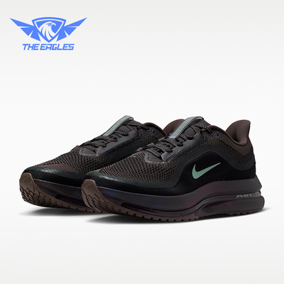 Nike/耐克正品PegasusPremium新款男经典公路鞋跑步鞋IR7546-030