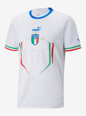 Puma/彪马正品新款男子意大利球迷版足球短袖T恤765650-02