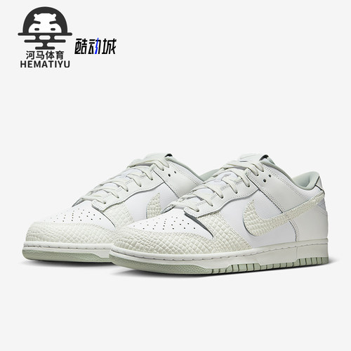 Nike/耐克正品Dunk Low Retro LTD 2男女运动复古板鞋IB2262-100