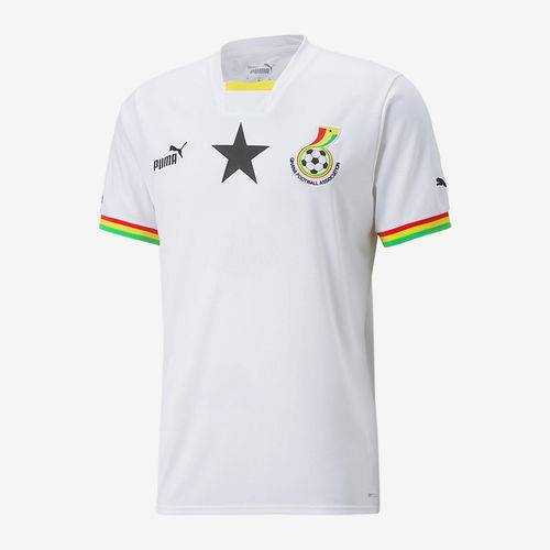 PUMA彪马正品23 Replica Jersey男款世界杯V领短袖T恤765780-01
