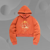 李宁正品 系列套头连帽运动服休闲外套透气上衣AWDP628 卫衣女时尚