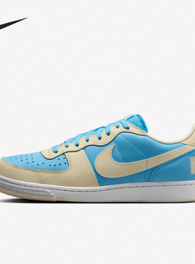 Nike/耐克官方正品当季新款男士透气耐磨低帮板鞋HF4834-407