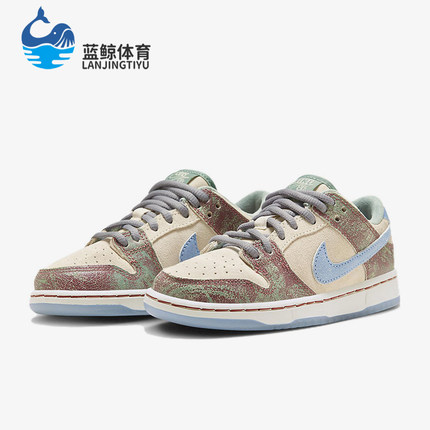 Nike/耐克正品Dunk SB小童耐磨复古低帮经典运动板鞋FQ8204-300