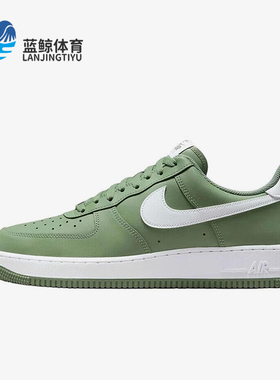 Nike/耐克正品2025秋季款男士日常低帮系带透气板鞋FJ4146-301