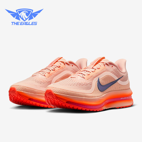 Nike/耐克正品Pegasus男士耐磨公路气垫透气缓震跑步鞋II6308-600