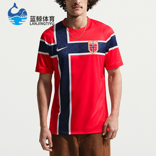 Nike/耐克正品Dri-FIT男士复古足球衣经典运动短袖T恤IB5316-673