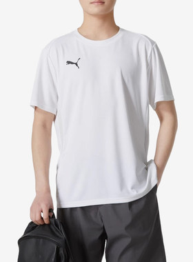 Puma/彪马正品2024新款男士透气夏季潮流短袖T恤658636-04