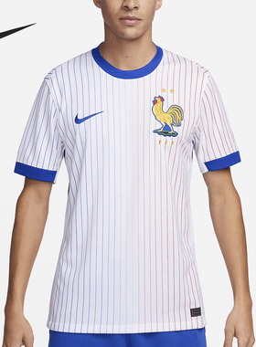 Nike/耐克正品Dri-FIT 男士圆领经典轻柔足球球衣FJ4273-100