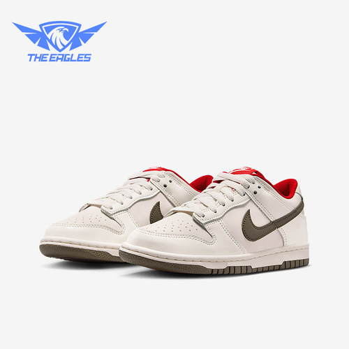 Nike/耐克正品Dunk Low GS女子大童系带耐磨低帮运动鞋IQ9793-020