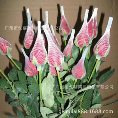 套花的网 花鲜网套 花蕾防玫护发OIU泡套 现蕾货低价瑰促销编织