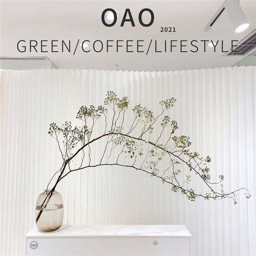 山归来鲜切枝条水养鲜花真花蔷薇果鲜切花家居瓶插花书房客厅植物