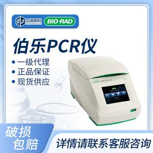 伯乐PCR仪数显数字PCR仪高精度T100梯度PCR仪基因扩增仪多功能
