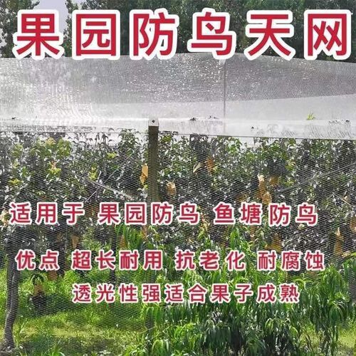 热销果园果树防鸟网天网稻谷农作物防护网K鱼虾蟹塘防鸟抗老化寿