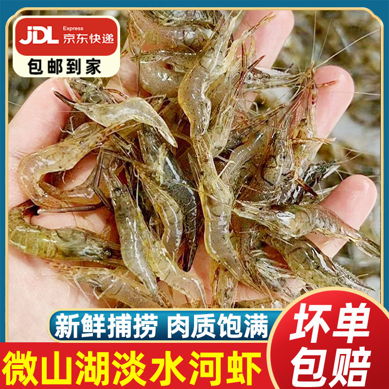 淡水小河虾大号活虾速冻新鲜渔民捕捞清水虾酒饭店批发微山湖特产